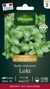 Basilic Loki - Graines d'Exception